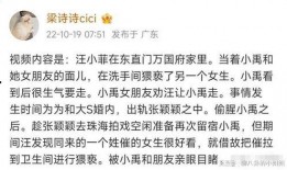 梁诗诗网友爆料视频,揭秘事件背后惊人真相