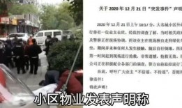 新城物业爆料事件视频最新,真相揭露与公众关注